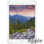 Ремонт Apple iPad mini 3 в Сочи